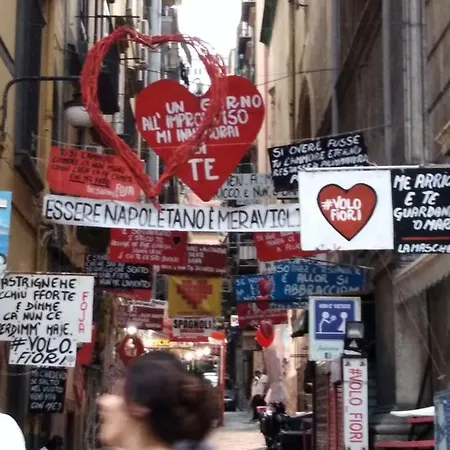 Melissa A Toledo Nyaraló *